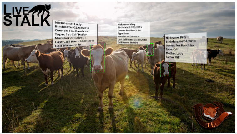 Livestalk — Livestock Management Platform