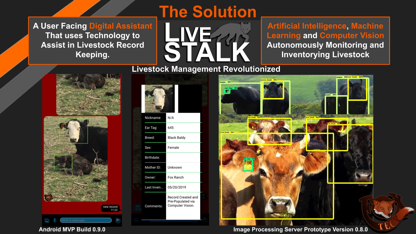 Livestalk working prototype — Android MVP with live cattle detection and automated ear tag record lookup